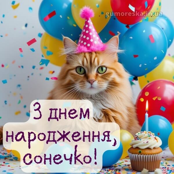 з днем народження