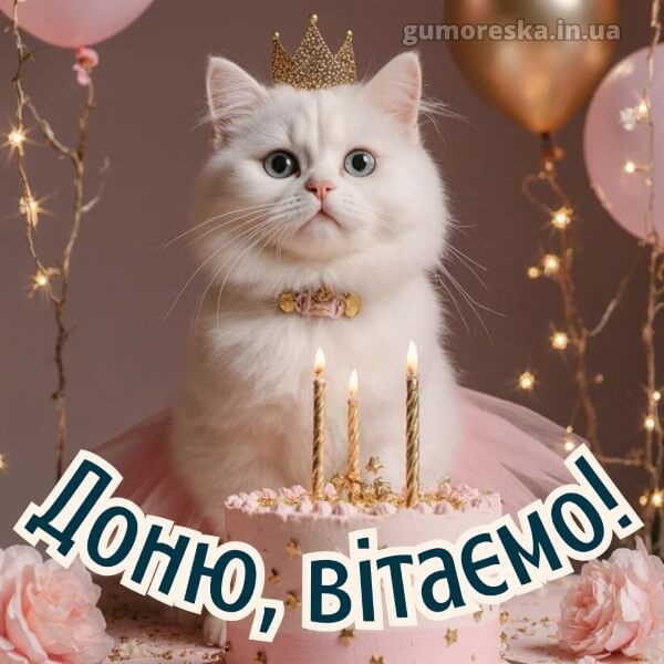 з днем народження