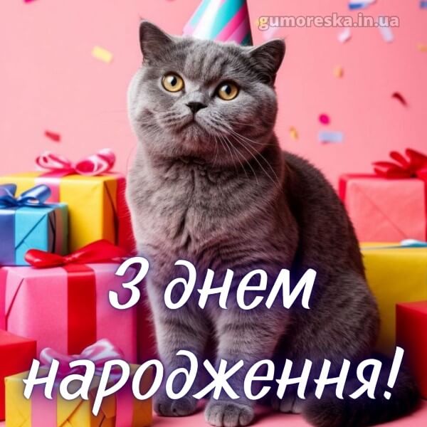 з днем народження
