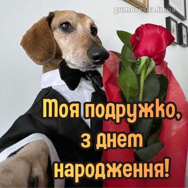 з днем народження картинки скачати безкоштовно