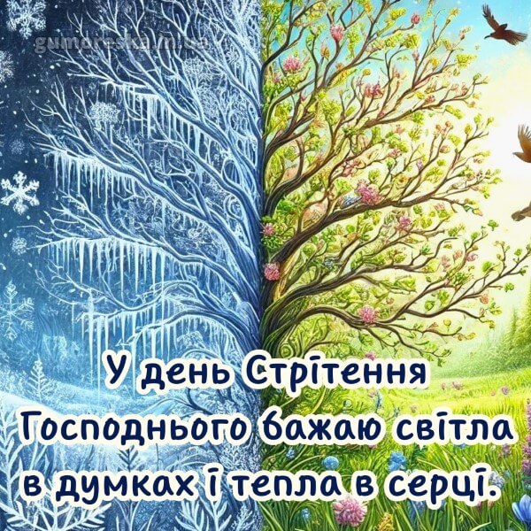 з днем народження українською мовою