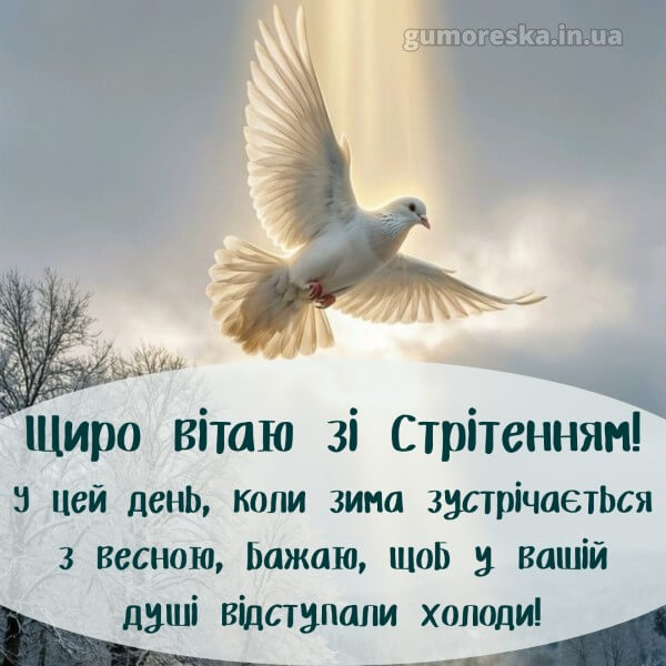 з днем народження картинки українською