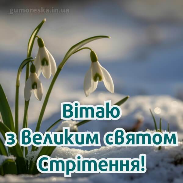 з днем народження