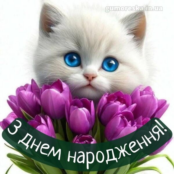 картинка з днем народження